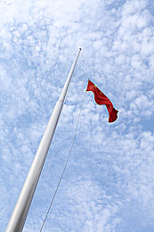 石原莉奈被侵犯:明星石原莉奈勇敢揭露性侵,网友愤怒声援-1