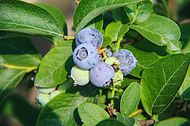 韩国三级电影一区二区：奇幻冒险新篇章，游戏大作即将来袭-2