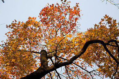 甘雨大战史莱姆原版网站,史莱姆冒险新体验，游戏网站上线引关注-2