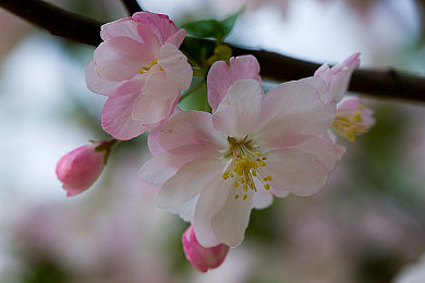 人人天天爽：游戏新潮流，人人欢畅爽-2