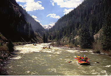 毛刷刷马眼折磨：马眼之痛，伦理拷问