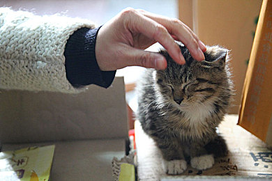 天天爱天天操融合:快节奏生活新选择,健身娱乐两不误-1
