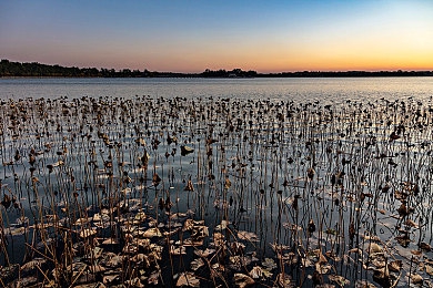 skixix was was kino维语：创新软件助力民族文化传承，便捷交流！