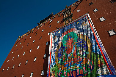 壮熊粗大爽GAY漫画furry：数字时代，独特文化现象引关注-1