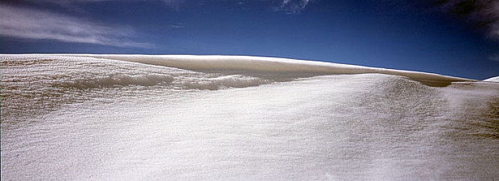 西北君君调教骚受Chinese：游戏奇才调教高人气角色，谱写传奇故事-1