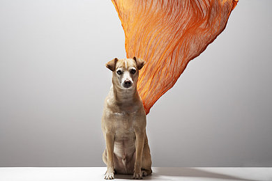 卡莎脸红流眼泪翻白眼照片：游戏圈奇观：卡莎表情走红网络-1