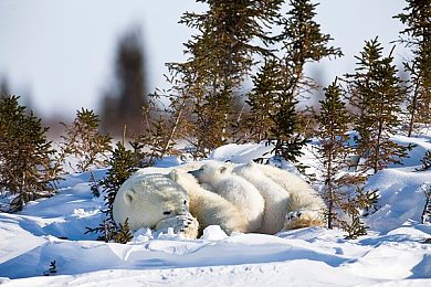 囯内寡亲子伦一区二区：家庭伦理新突破，助力老龄社会和谐-1