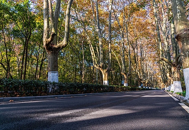 香港猥琐kk折磨嫩模：嫩模受虐，娱乐圈乱象再起！