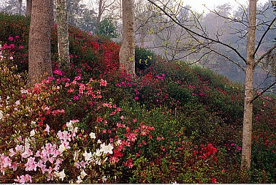 乱伦网络：网络乱象揭秘：乱伦网络如何侵蚀家庭和社会-2