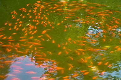 十八岁以内禁止观看的软件：网禁揭秘：揭秘那些被禁软件背后的真相-1