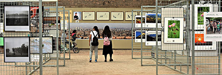 五月丁香色婷：某地丁香节盛大开幕，紫色花海等你赏-1