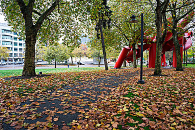 中国猛男巨茎自慰：邻居偷拍上传，隐私权引热议-1