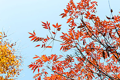 我为人人2048jdj：企业创新赢认可，品质服务赢未来-1