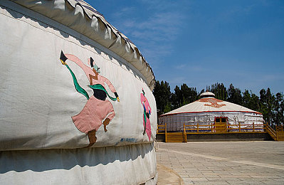 色色色网站：揭秘“色色色网站”：服务多，技术强，成行业黑马-1