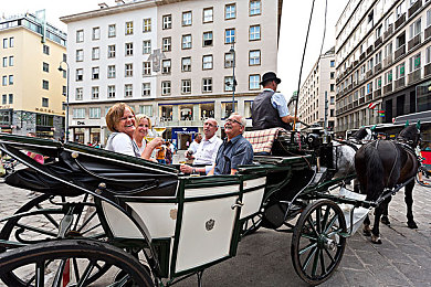 麻花传苏蜜清歌：麻花传奇，少女匠心独运-1