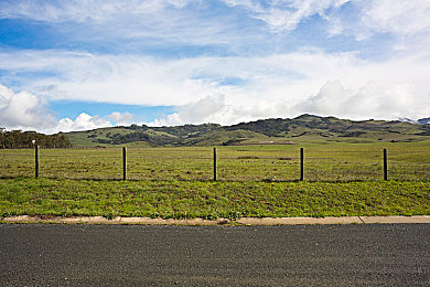 麻花传M0044苏蜜清歌:音乐蜕变,苏蜜歌声燃情剧情-1
