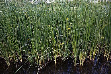 欧美男同高大：都市情缘，视觉盛宴，游戏新潮流-2