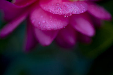 毛刷刷马眼折磨：马眼之痛，伦理拷问-2