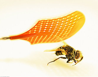 72y7cc免费版最新版本更新内容:软件升级大放异彩,72y7cc免费版焕新体验-1