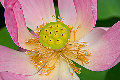 男男羞羞的软件,社交新体验,隐私守护神器!-2