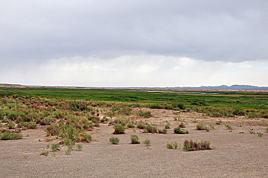 原神十八禁:《原神》创新元素引关注,探索幻想世界新体验-1