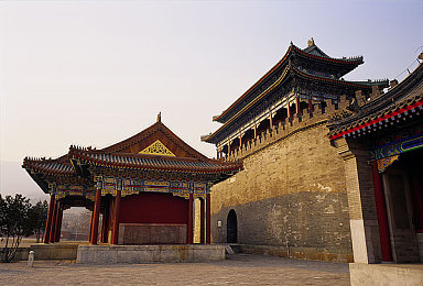 触手怪 进八重尿孔里：神秘生物现踪，真相成谜引关注-1