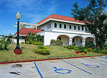 1995版意大利丛林泰山:非洲丛林探险,视觉盛宴来袭!-1