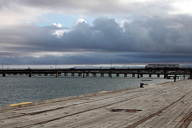 二次元束手束脚束胸束手：二次元文化挑战：青少年成长引关注-1