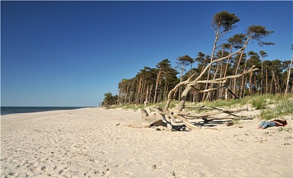 和壮熊老板办公室激情：科技巨头办公室激情碰撞，壮熊科技新计划引关注-2