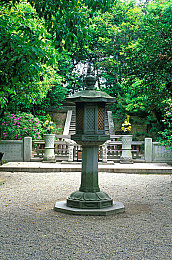 天天操操：健身新潮流，智能助你动起来-1