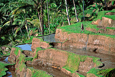 美女被 到爽 高潮半糖动漫：都市青春动漫，《半糖》美女演技燃爆眼球-2