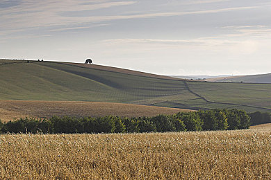能收黄台的app不收费：免费畅玩新游戏，探险家寻宝记-2