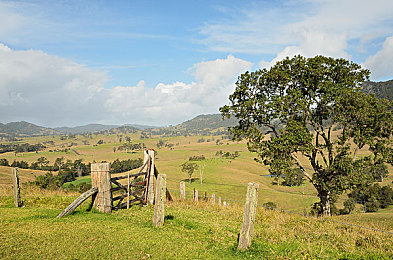 张柏芝奶头全乳露出：明星意外直播引热议，游戏行业引深思-2