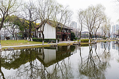 九九热这里只有：夏日狂欢盛宴，释放激情活力-2