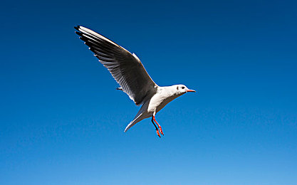 和少妇人妻邻居做爰:邻里风波惊动社区,夫妻信任遭背叛-2