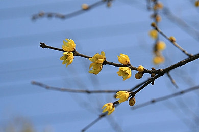 乌兰图雅撒尿毛片：奇幻冒险游戏走红，宝藏之旅引玩家共鸣-2