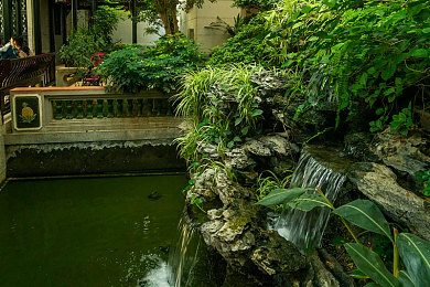 五月丁香六：古风江湖新游，策略养成燃情启航