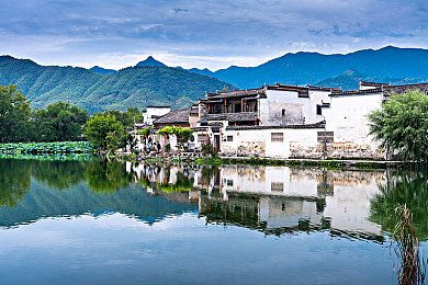 鸡鸡捅鸡鸡：性侵事件频发，如何守护青少年安全？-1