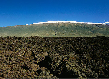 2019年最好的中文：2019年佳作盘点：文学盛宴引热议-2