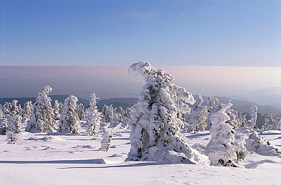 强开乳罩摸双乳吃奶羞羞www:惊悚!快递员变恶狼,女子险遭侵犯!-1