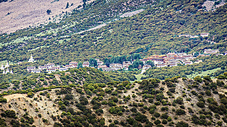 明星换脸区二区：换脸新潮流，明星与我同框