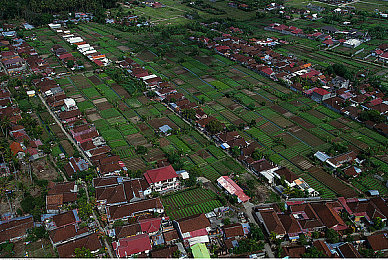 一个好妈妈8个字：育儿秘籍：八字诀助妈妈成为育儿高手-2