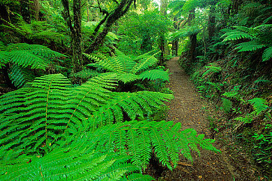 黄应用下载：都市解谜新宠，探索秘密之旅