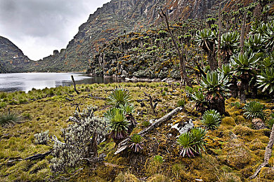 杨玉环的三港版1995剧情：唐朝贵妃传奇，爱恨情仇再起波澜-2