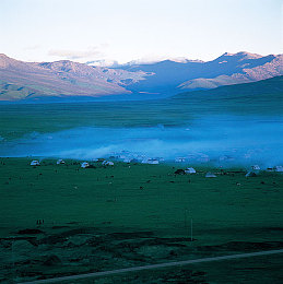 404黄色软件：揭秘“404黄色软件”：网络安全隐患重重-3