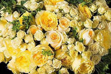 男生插网站:网络惊曝:不良网站诱导青少年,监管行动迅速!-1