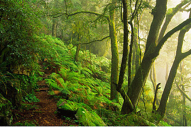 ysl蜜桃色黄:蜜桃色黄游戏引热议,奇幻冒险等你来挑战-2