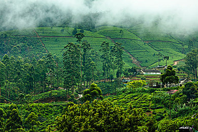 成品78w75通道1免费：奇幻世界免费启航，挑战新体验-4