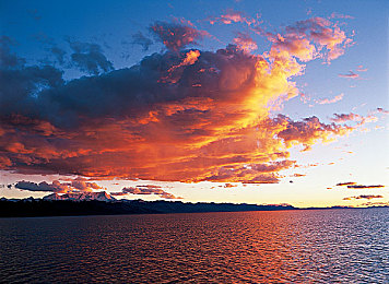 男生同性gv 免费网站：揭秘：免费同性恋平台吸睛无数-1