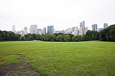 黄色APP下载链接,网络陷阱:揭秘黄色APP传播黑幕-2